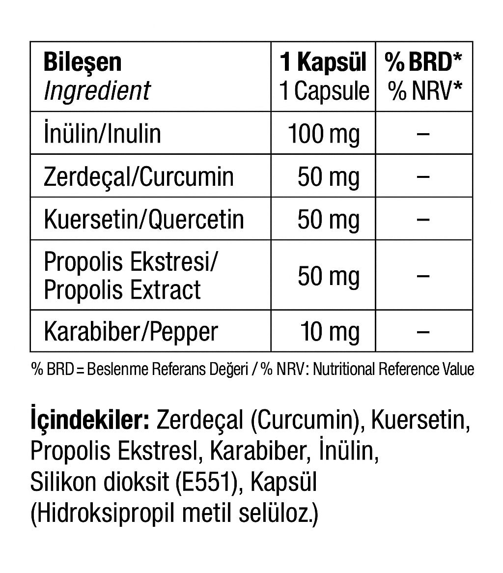 ZerdePOL bileşen ve içerik tablosu